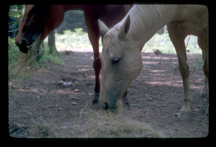 Slide968.jpg
